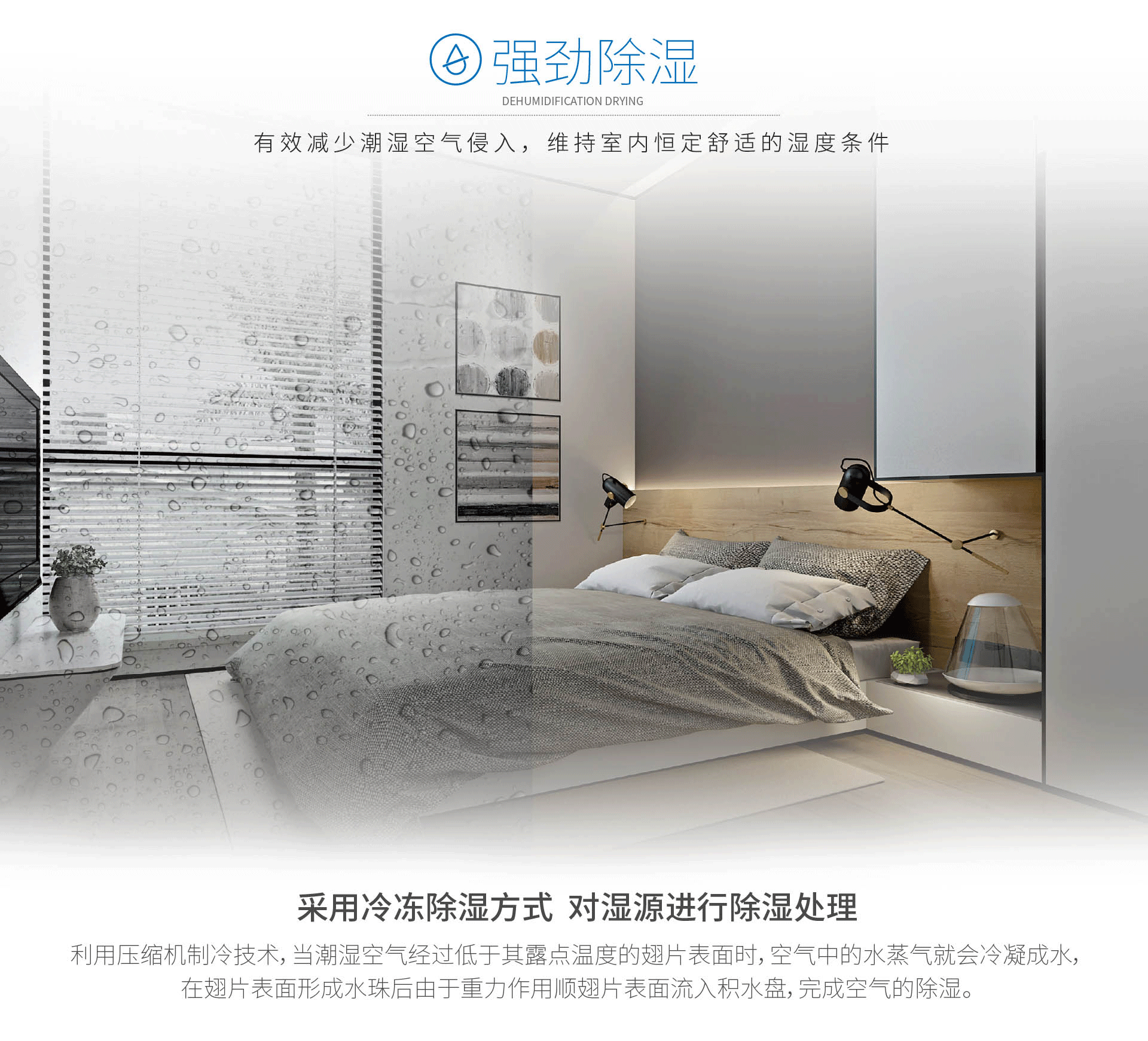 纯除湿_03.png