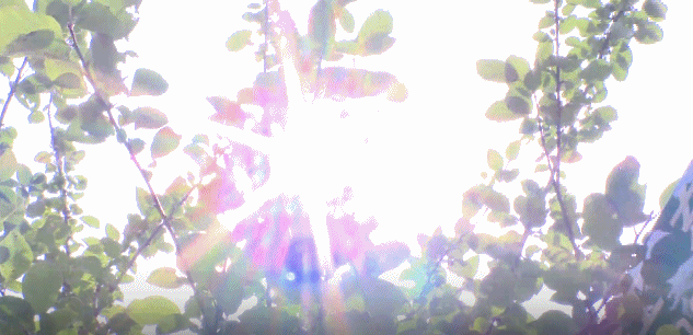 timg (4).gif timg (4).gif